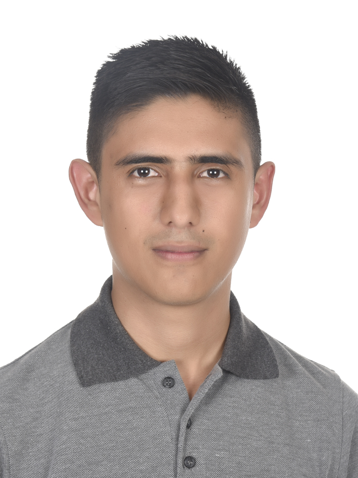 Arley David Celis Vargas